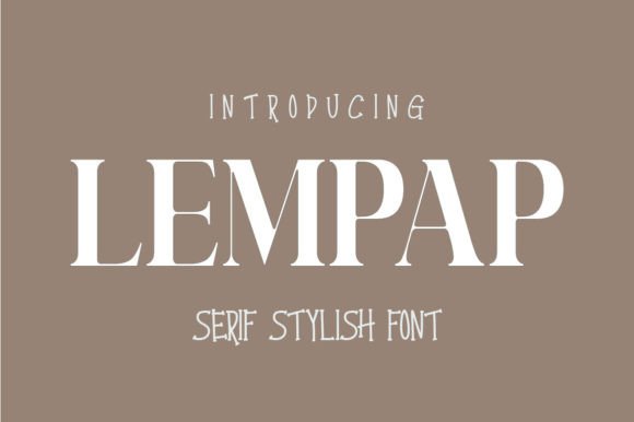 How Lempap Transformed My Small Business Brand Identity