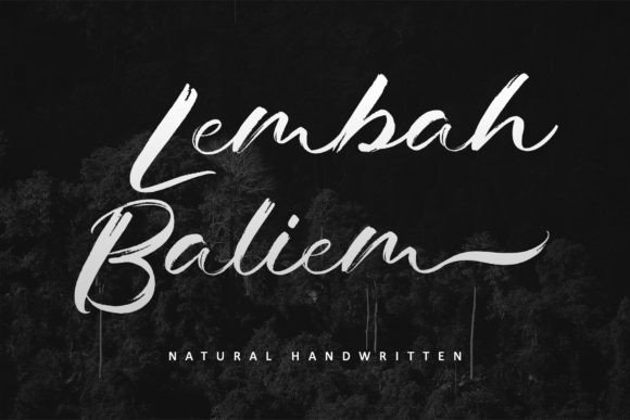 Lembah Baliem: The Bold Script Font for Handmade Branding