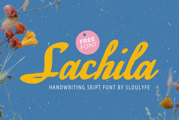 Sachila: The Bold Script Font for Scroll-Stopping Campaigns